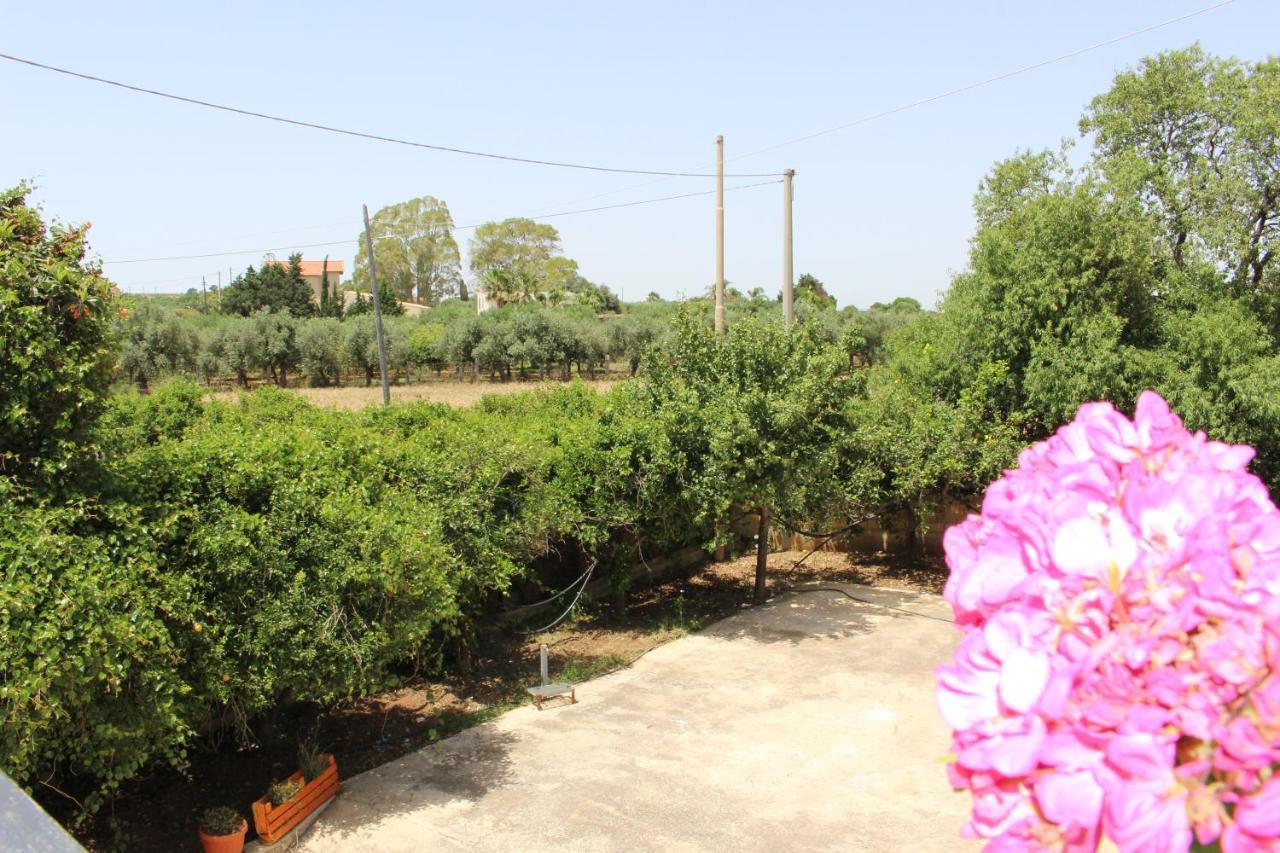 Il Casello Country House Parcheggio Gratuito 夏卡 外观 照片