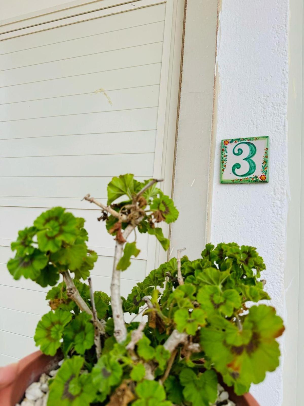 Il Casello Country House Parcheggio Gratuito 夏卡 外观 照片